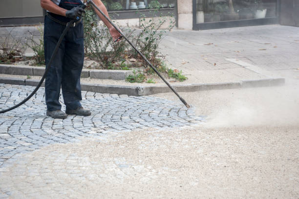 Best Roof Cleaning and Mildew Removal in Arnaudville, LA
