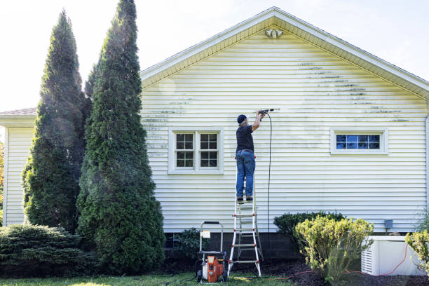 Best Gutter Cleaning and Brightening in Arnaudville, LA